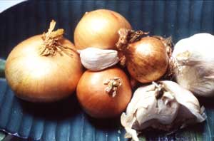ail allium