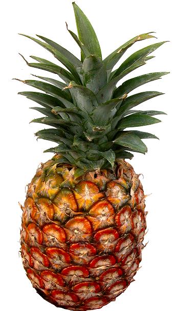 ananas