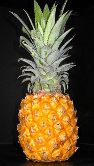 ananas