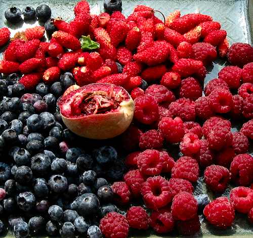 fruits rouges