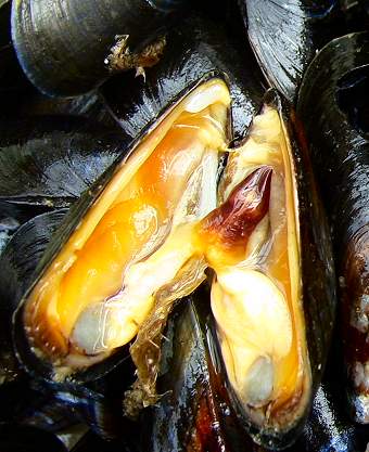 moule