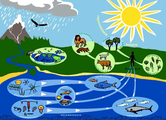 Biodiversité