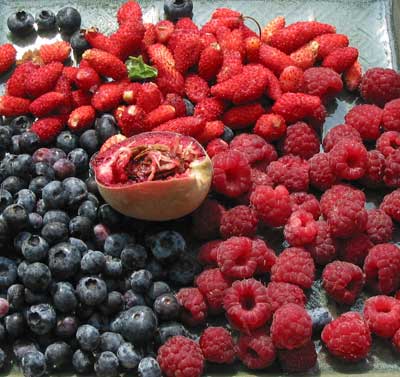 fruits rouges