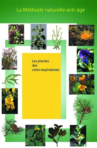 plantes respiratoires