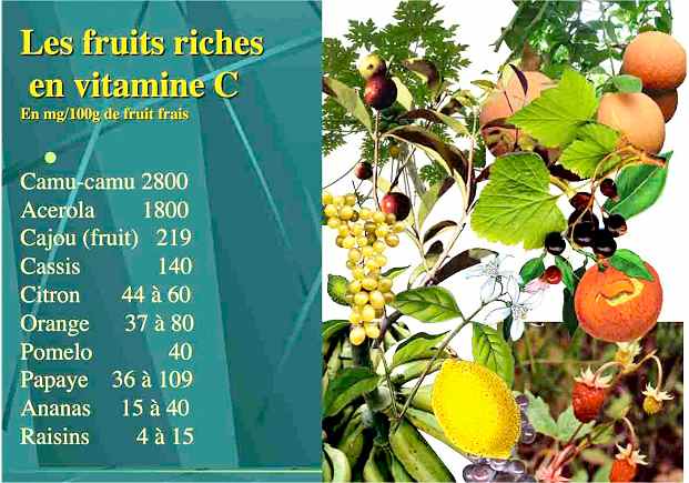 fruits riches en vitamine C