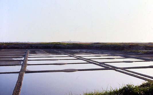 marais salant Guérande